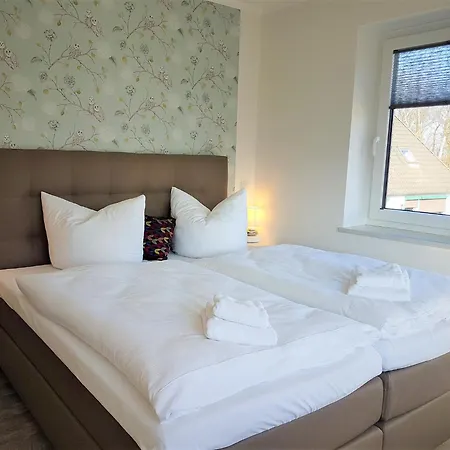 Bernstein Mare Rose 8 *