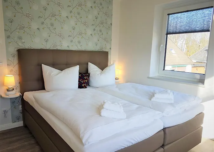 Bernstein Mare Rose 8 *