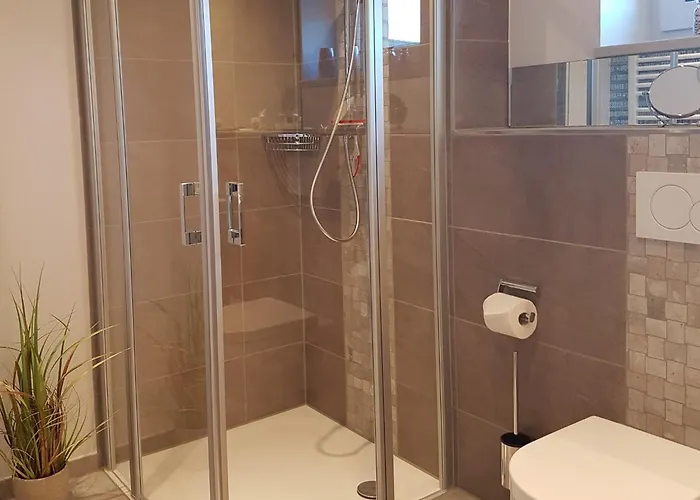 Bernstein Mare Rose 8 *